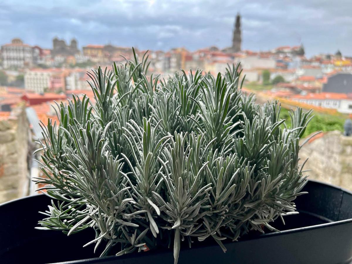 Urban Apartment Casa Da Portela Porto Eksteriør billede