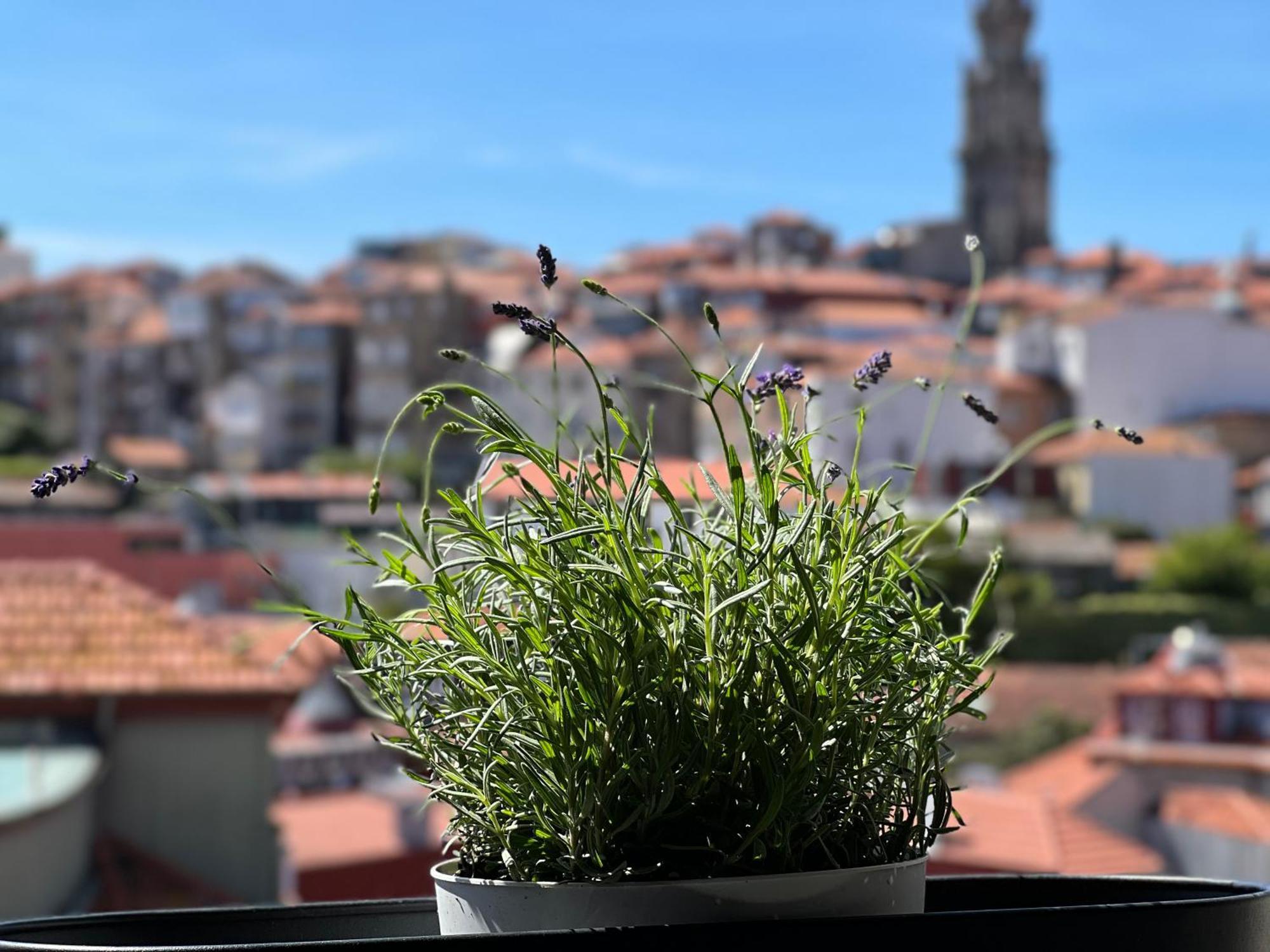 Urban Apartment Casa Da Portela Porto Eksteriør billede